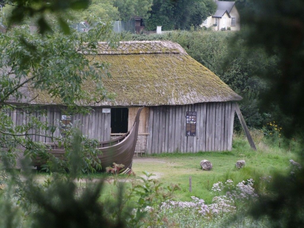 Vikings in Ireland